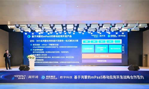 雙向奔赴，共創未來 螞蟻數科與潤開鴻戰略合作，發布mPaaS移動應用開發產品，助力揚州軟件產業發展