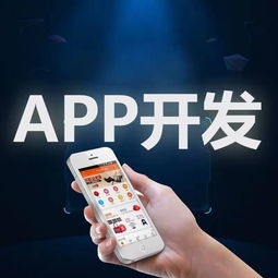 廈門市安卓蘋果APP軟件開發(fā)外包定制服務 構建數字化未來的橋梁